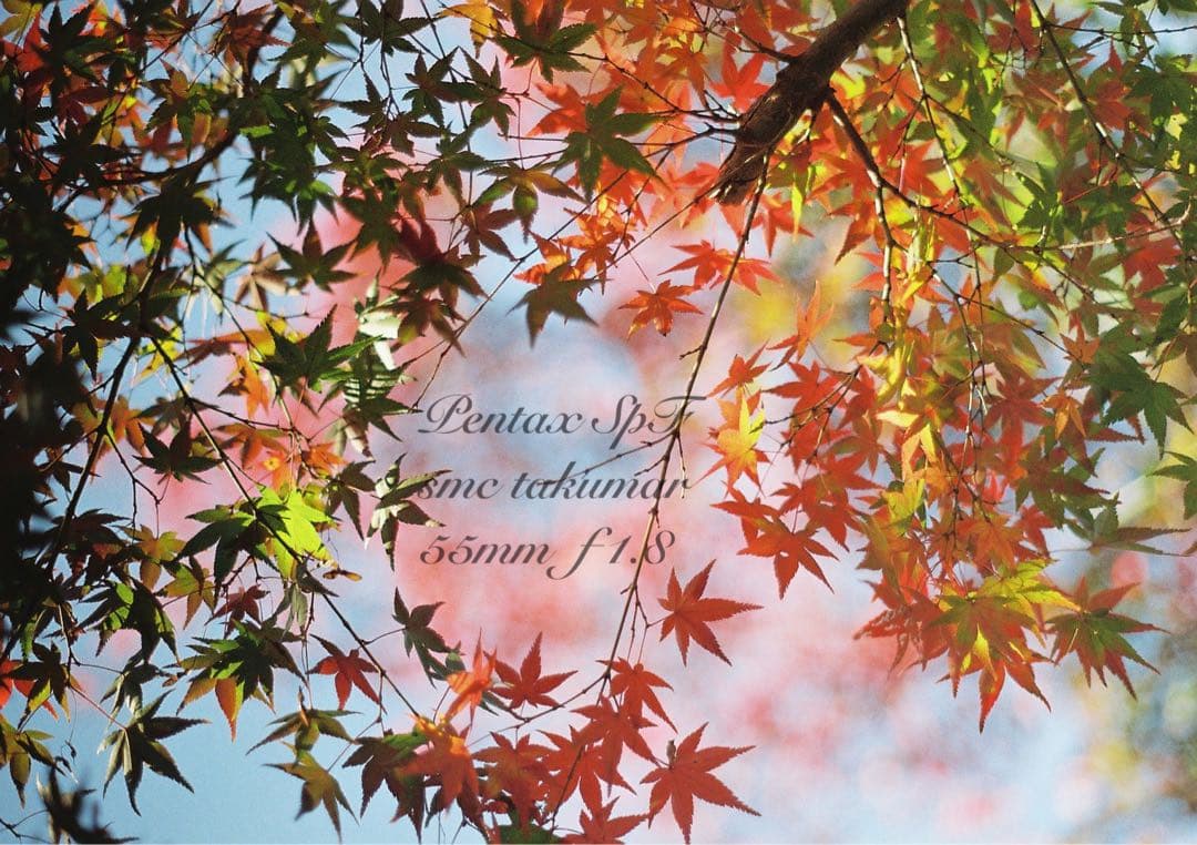 pentax spf/smcタクマー f1.8★完動品＊初期保証＊作例多数