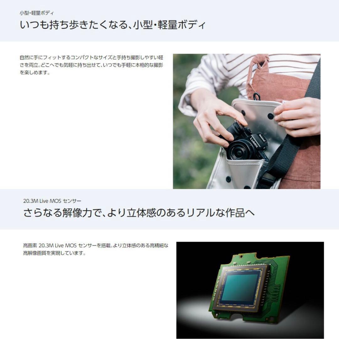 【超美品】LUMIX G100レンズキット【純正バッテリー2 個おまけします！】