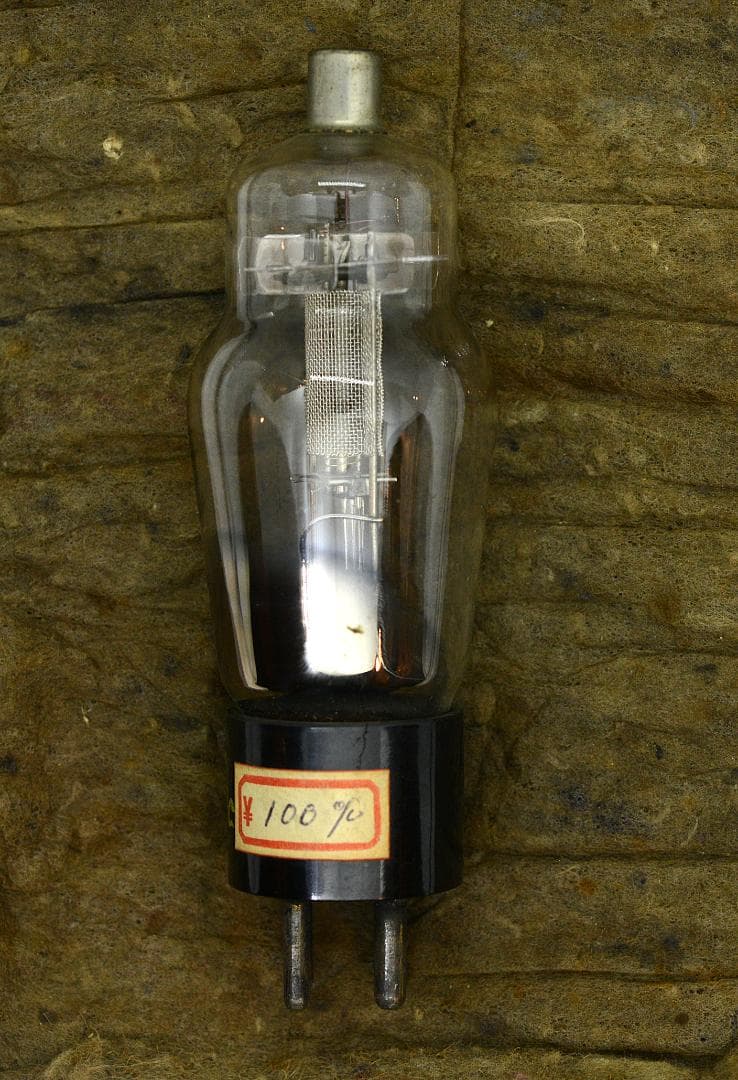 WESTERN ELECTRIC製メッシュ262B真空管１本　導通確認済 A
