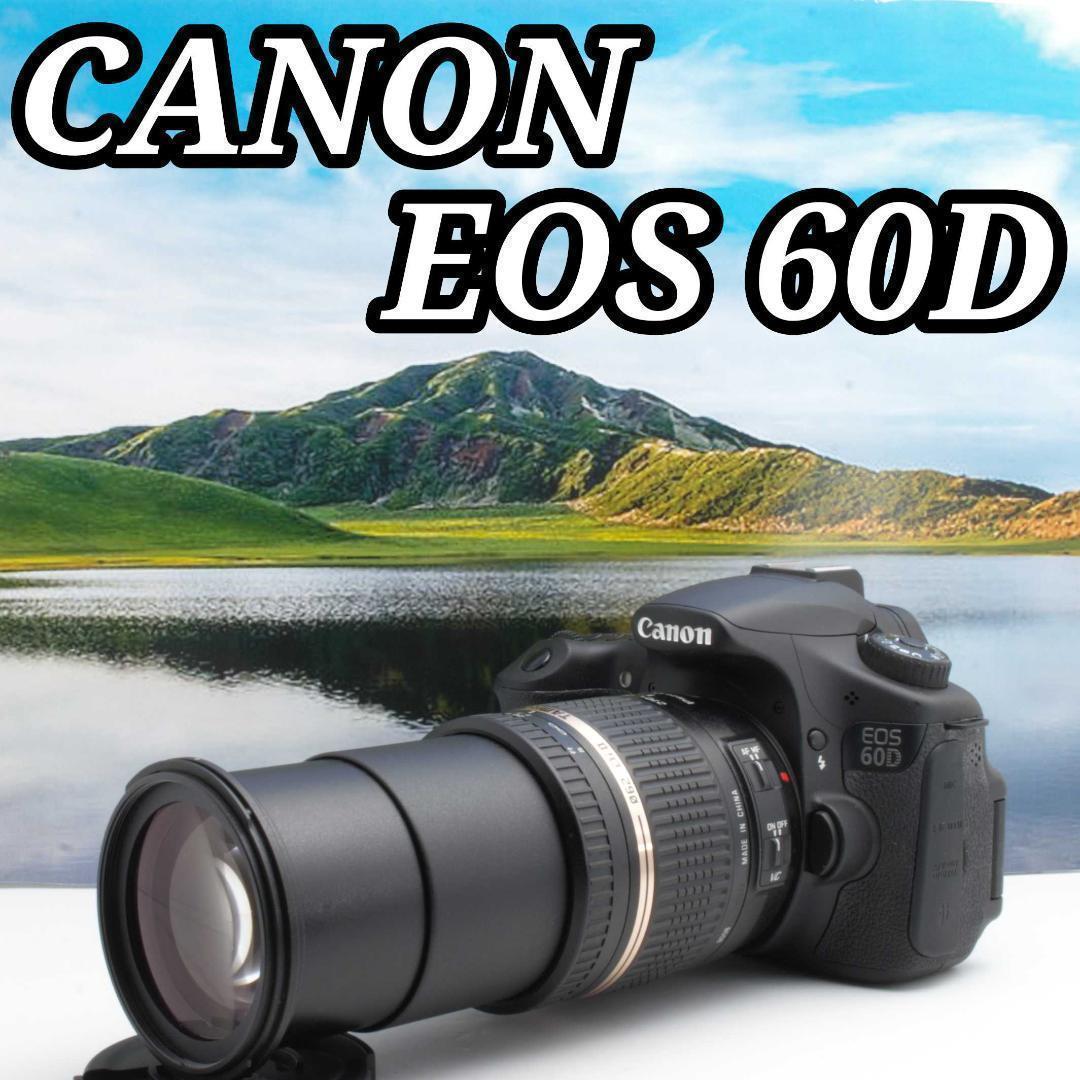 シャッター数257回 Canon EOS 60D タッチ操作感覚で簡単