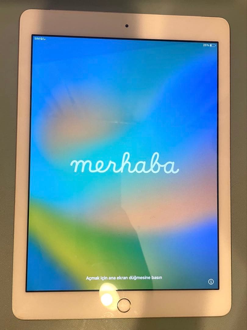 iPad Wi-Fi+Cellular 32GB バッテリー95%