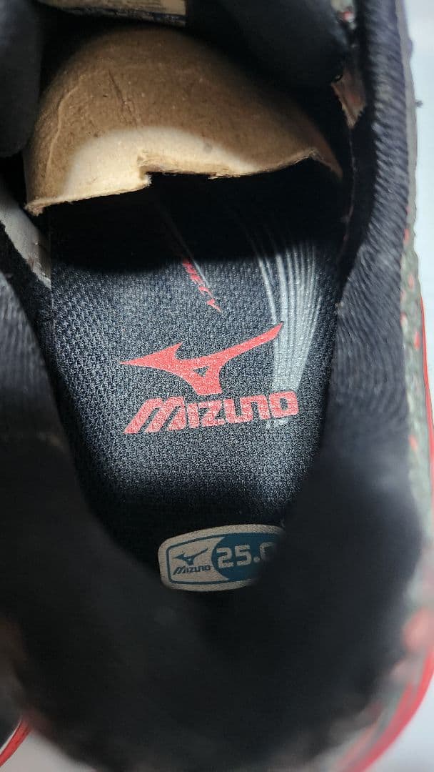 ミズノ　mizuno　WAVE PROPHECY Ｘ10 　サイズ２５cm