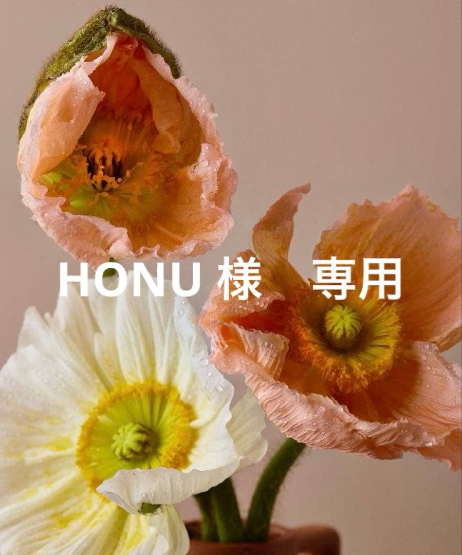 HONU　ブルー38 本日発送