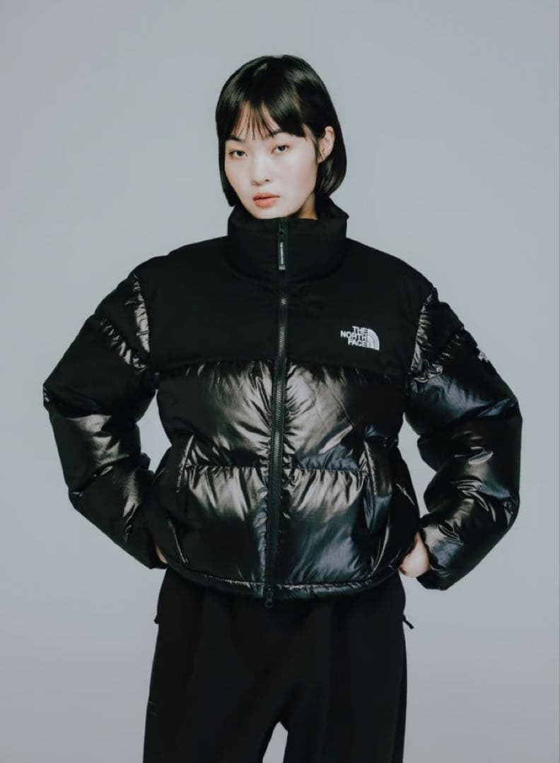 ࿎*࿎様 【新品】超人気商品韓国THE NORCE FACEヌプシレディース