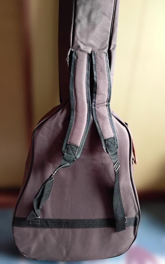 最終値引き【美品】Taylor Academy 12e　新品ギグケース