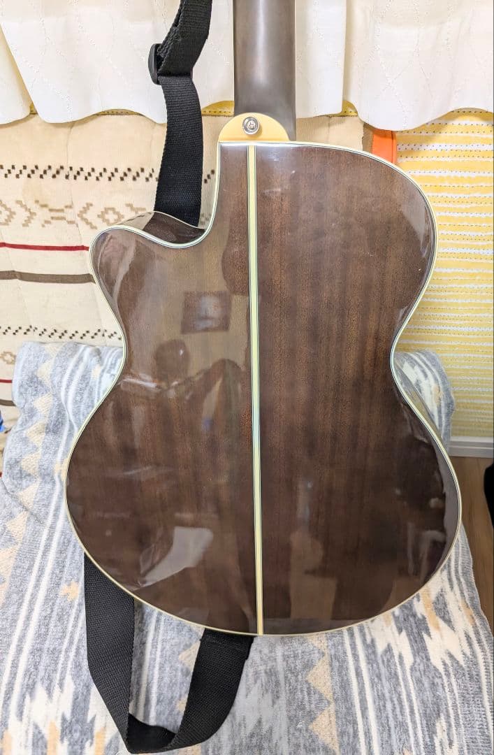 Rolandポータブルアンプ ARIAFET-CST SRエレアコギターのセット