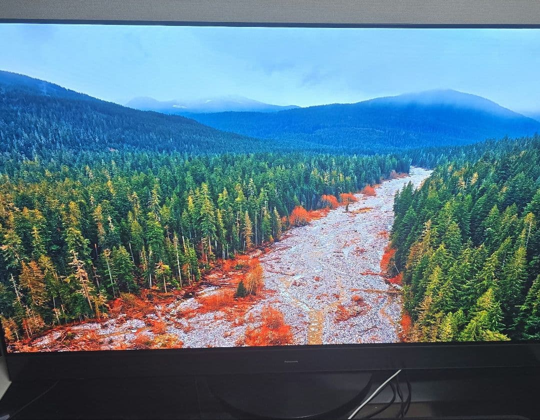 Panasonic TH-55MZ2500 55型 マイクロレンズ有機ELテレビ