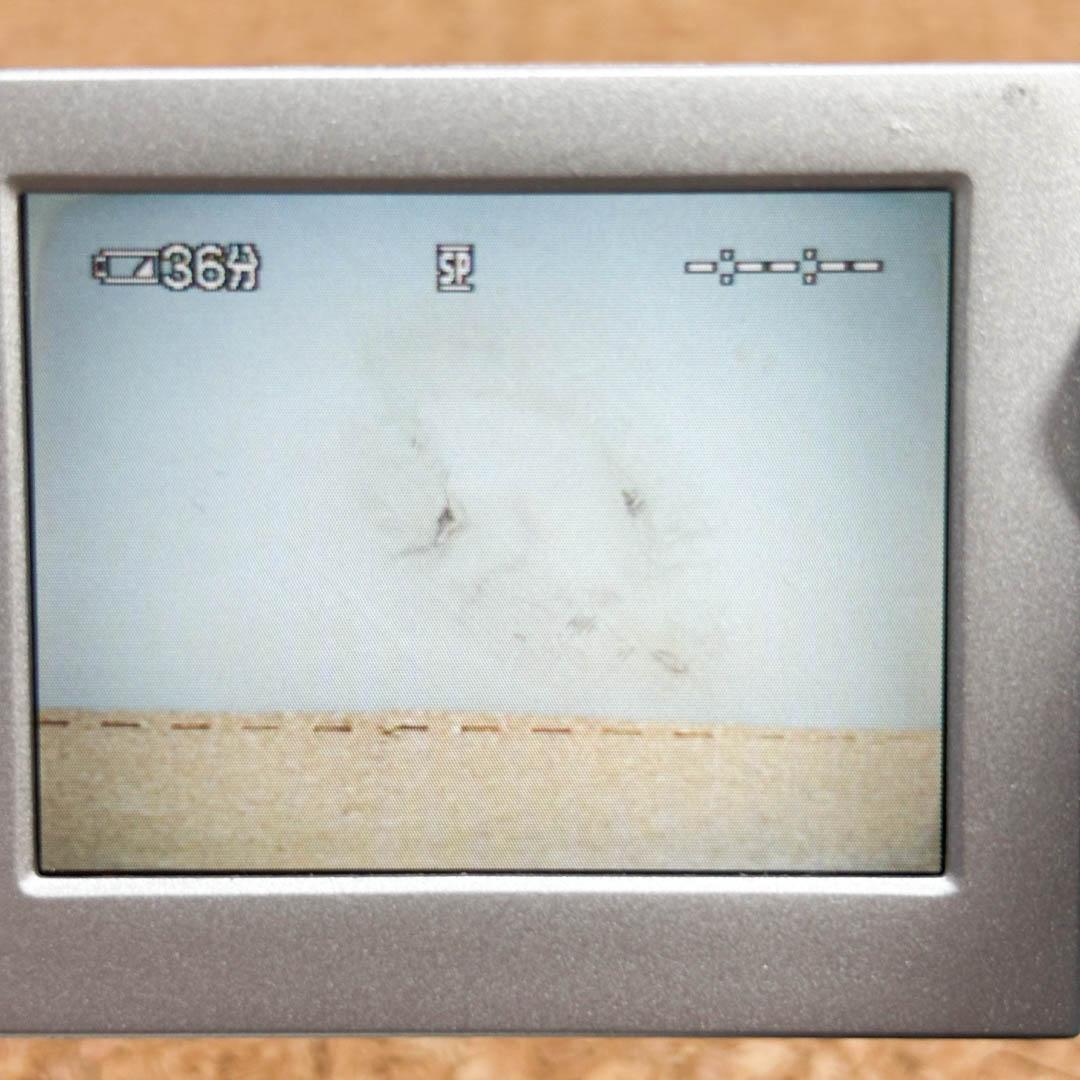 SONY DCR-PC110 ハンディカム ビデオカメラ handycam