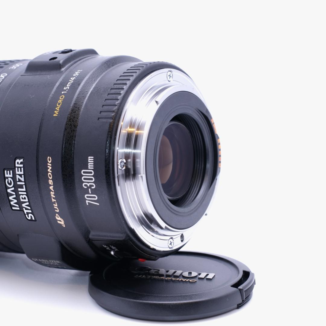 Canon EF 70-300mm F4-5.6 IS USM 手振れ補正