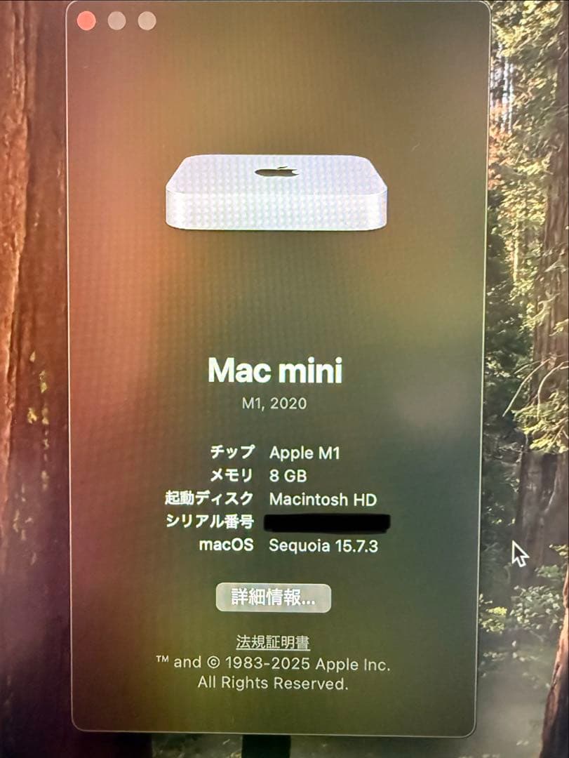 Apple Mac mini M1本体+キーボード+マウス