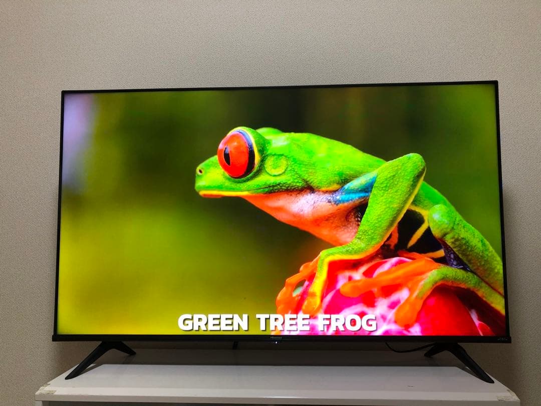 ハイセンス 50V型 液晶テレビ 4Kチューナー内蔵 50E6G 2023年製