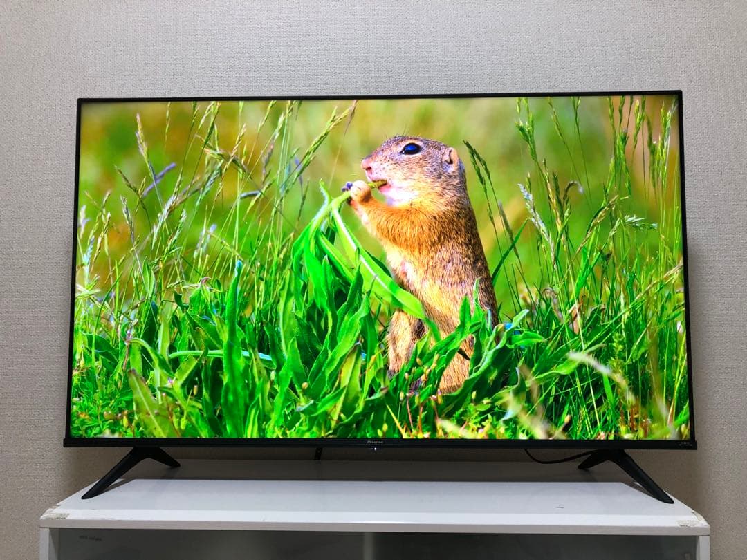 ハイセンス 50V型 液晶テレビ 4Kチューナー内蔵 50E6G 2023年製
