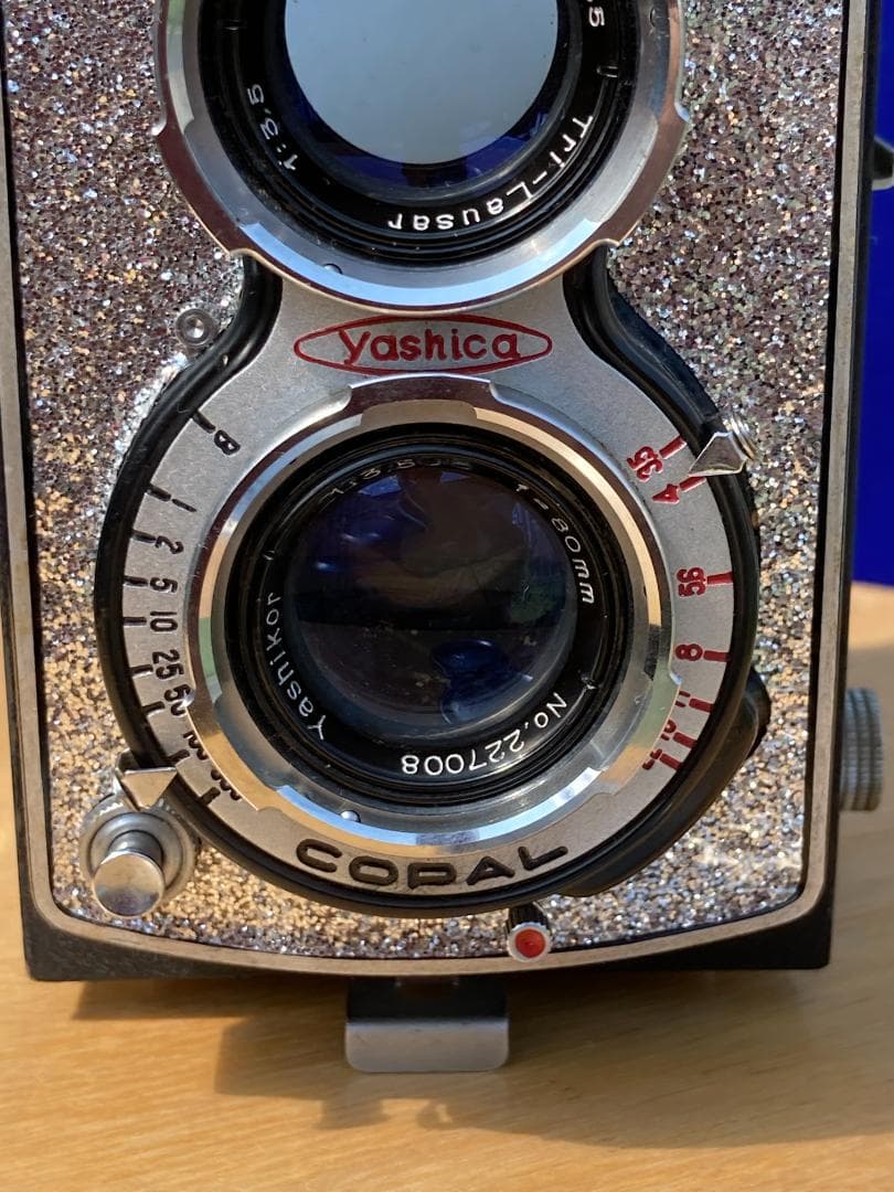 爽やかな風に乗って　キラキラ感２ＵＰ　YASHICA FLEX インテリアにも