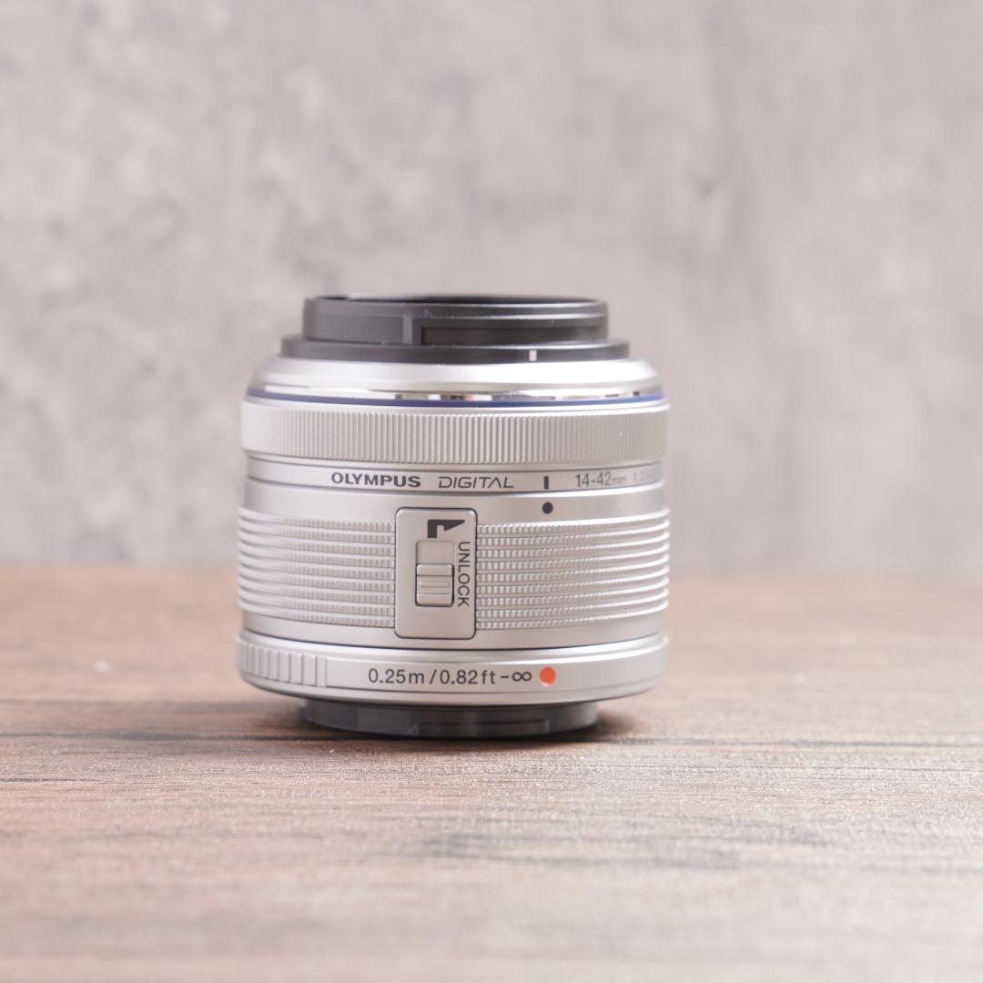 ショット数6029回で美品✨自撮り✨OLYMPUS PEN E-PL8　1093