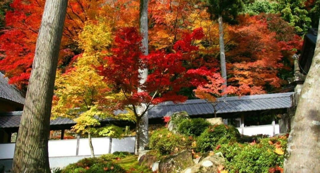 CANON　EOS 30D 一眼レフ　キャノン⚡️初心者⚡️ダブルレンズ　超望遠