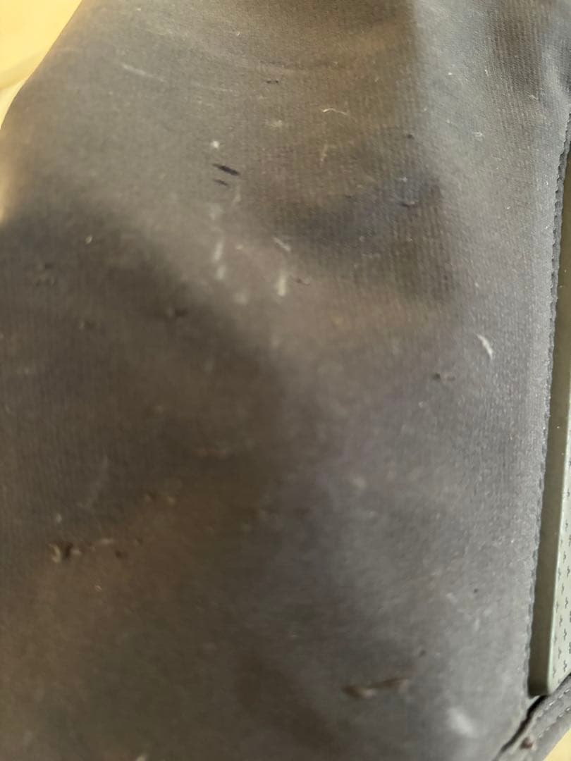 入手困難 デサント スイスチーム レプリカ スノーボードウェア アルパイン L