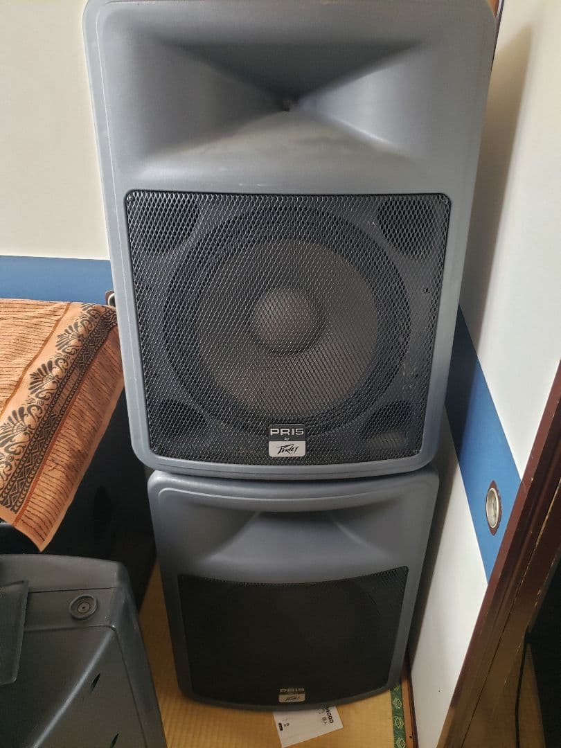 佐渡宿泊素泊まり　Peavey PR15 スピーカー 　国内希少