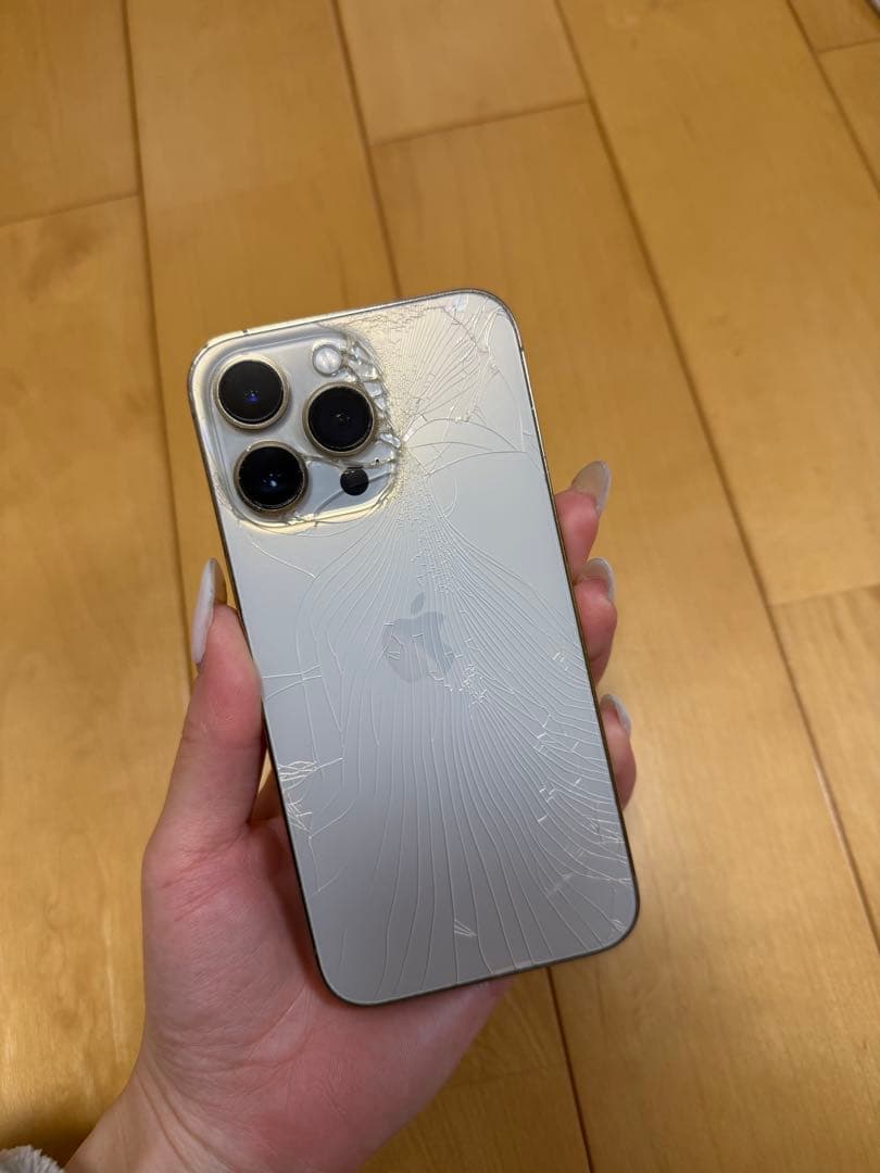 【高山エネ太郎様】iPhone 13 Pro ジャンク品:操作問題なし