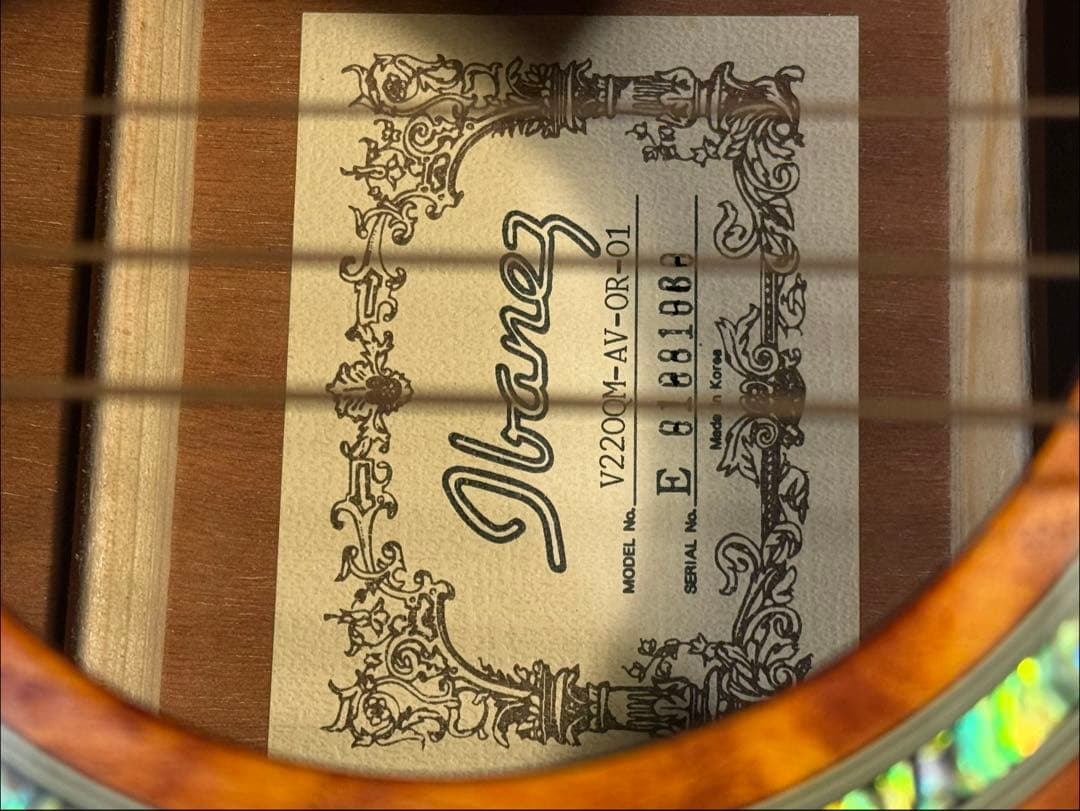 Ibanez アコースティックギター ハードケース付