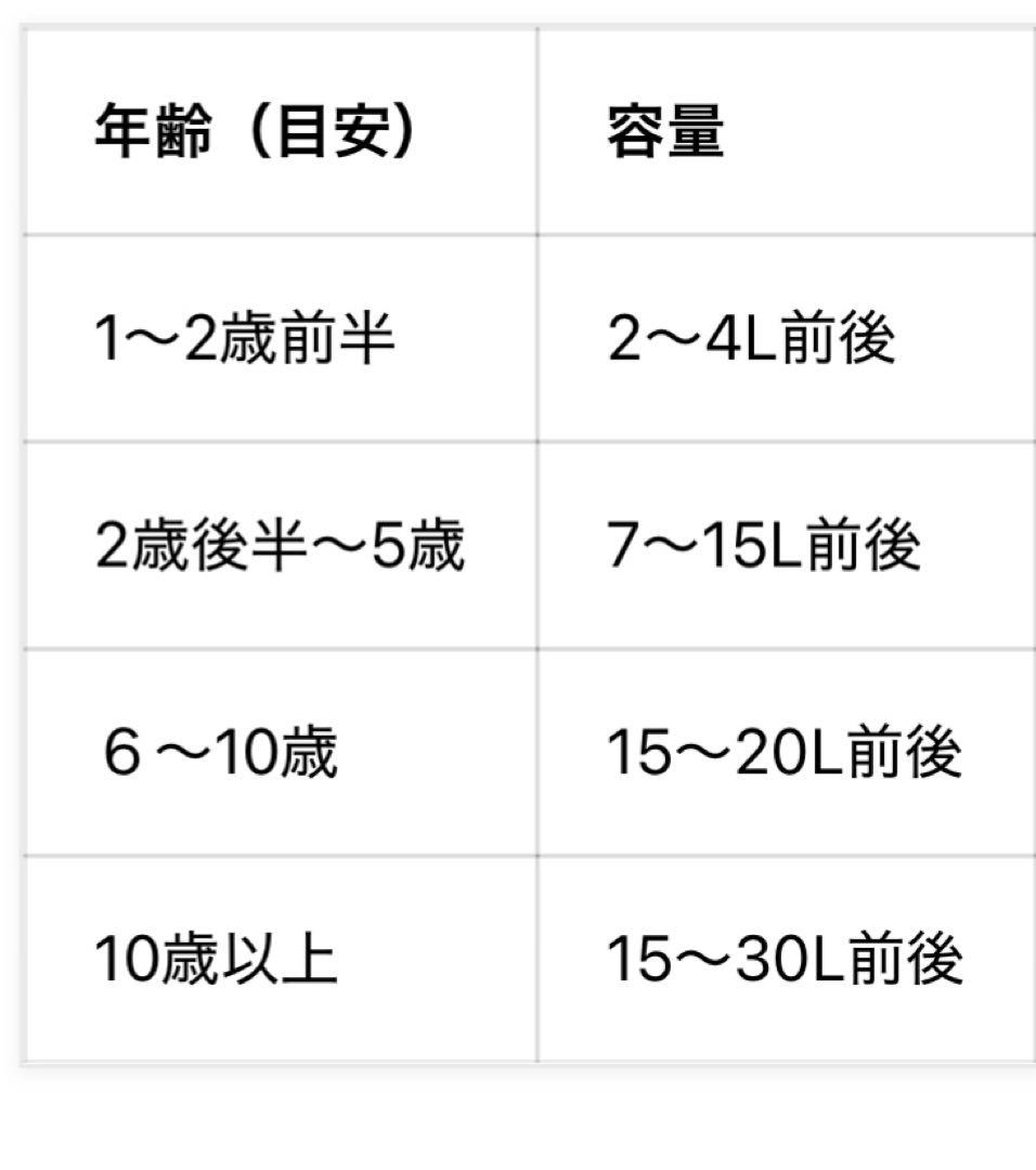 THE NORTH FACE リュク mercury 15Ｌ
