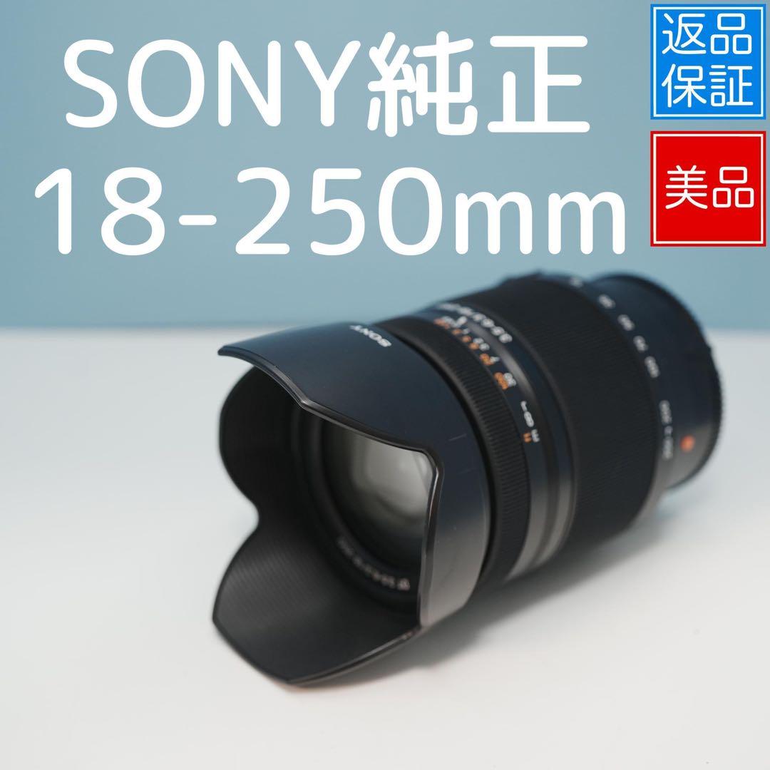 SONY純正 18-250mm 望遠レンズ 美品 a3927