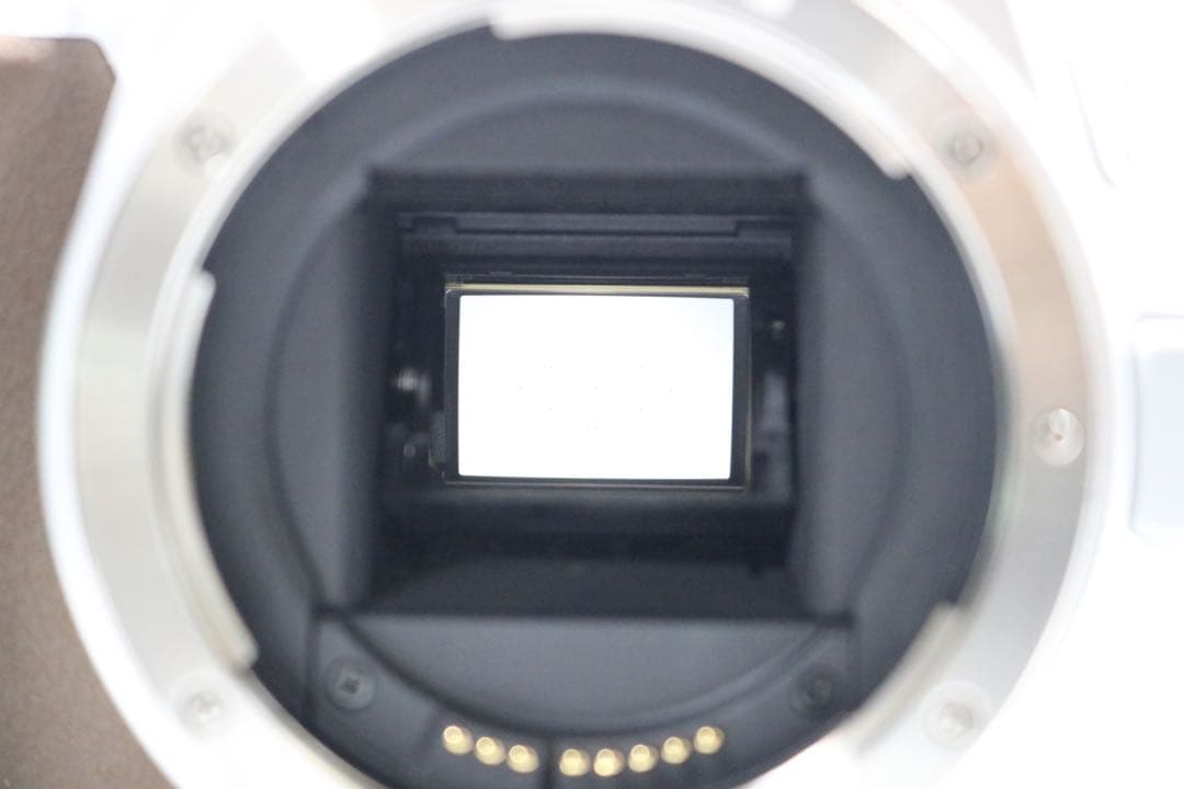 美品 【Canon EOS Kiss X10 レンズセット】 Wi-Fi搭載