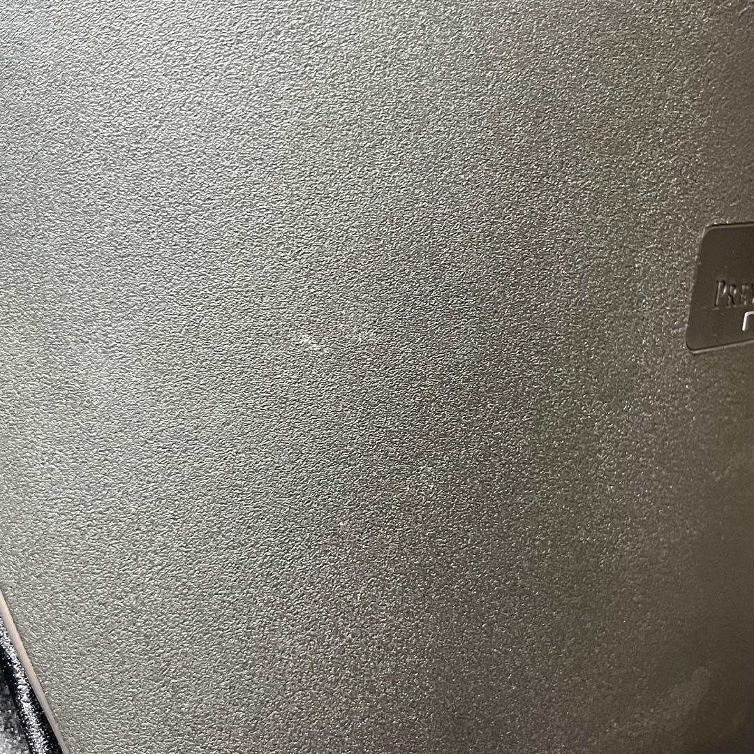 Style premium DX スタイル プレミアム デラックス ブラック