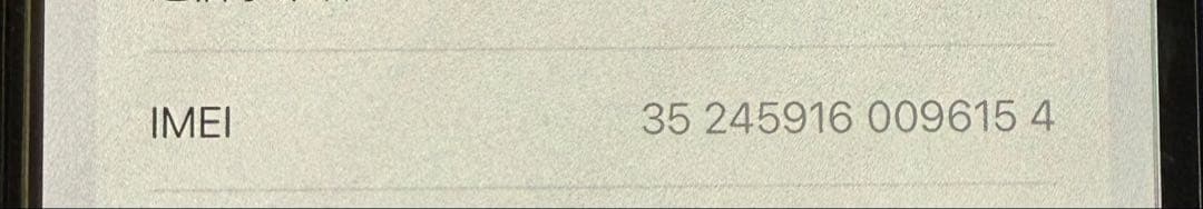 【Apple交換後ほぼ未使用】iPhone 15 Plus 128GB おまけ付