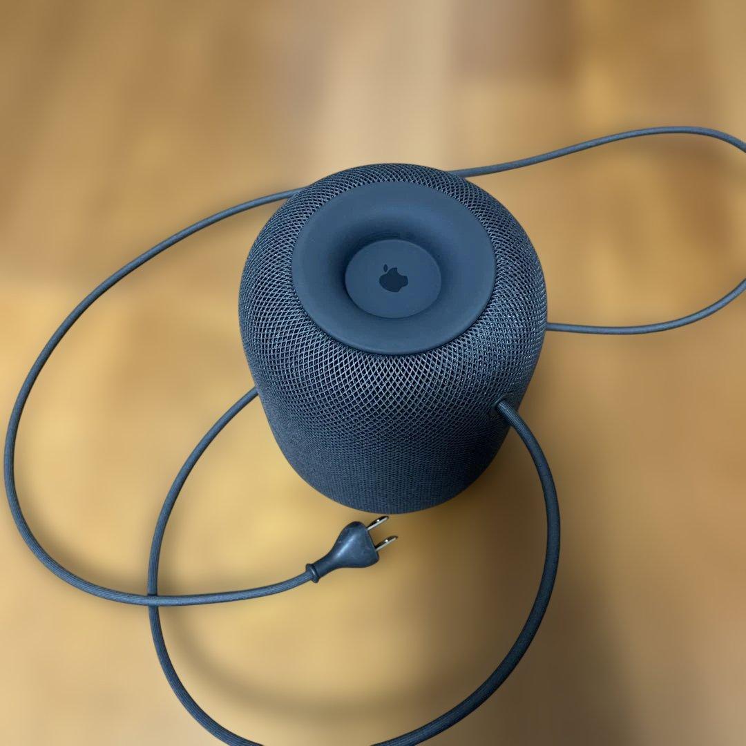 Apple Pod 第1世代　スペースグレー