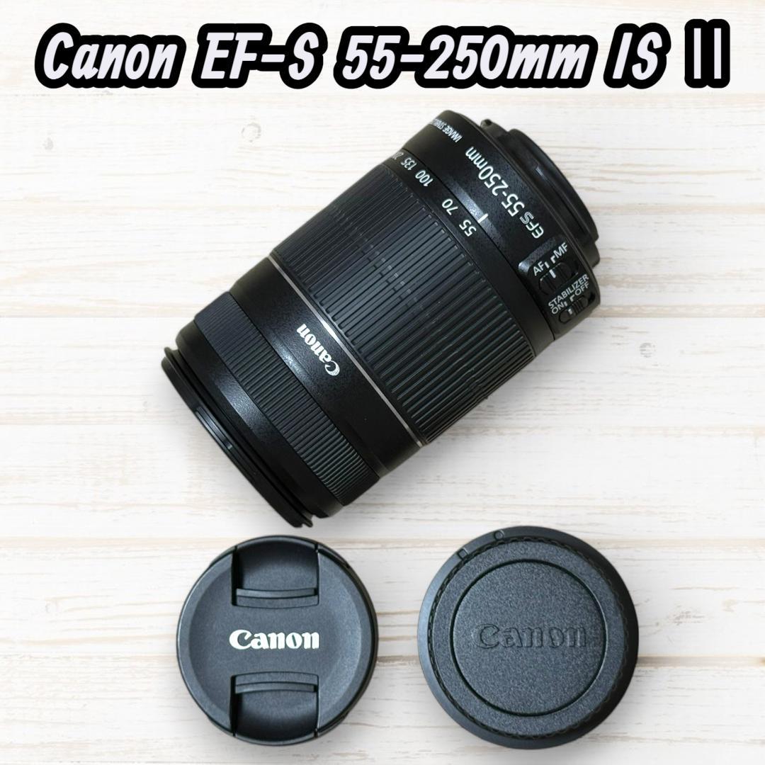 Canon ズームレンズ EF-S 55-250mm IS Ⅱ #121