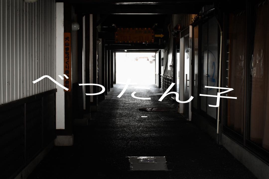 デジタルカメラ Nikon D5600