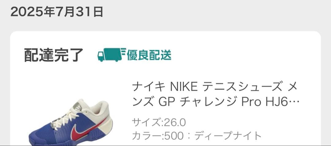 使用2時間 ほぼ新品 NIKE テニスシューズ GP チャレンジ Pro