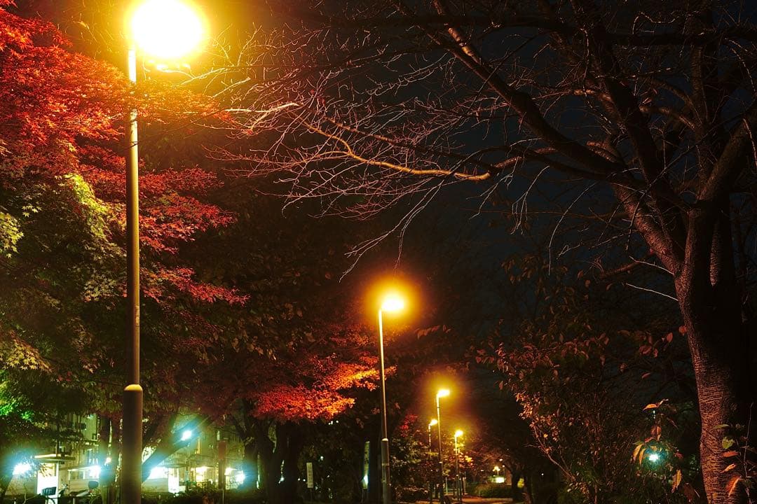 レンズ(ズーム) SIGMA 28-70mm F2.8 DG DN Contemporary