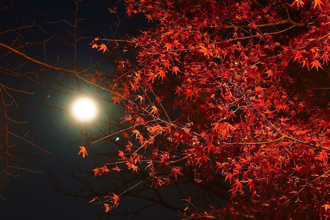 レンズ(ズーム) SIGMA 28-70mm F2.8 DG DN Contemporary