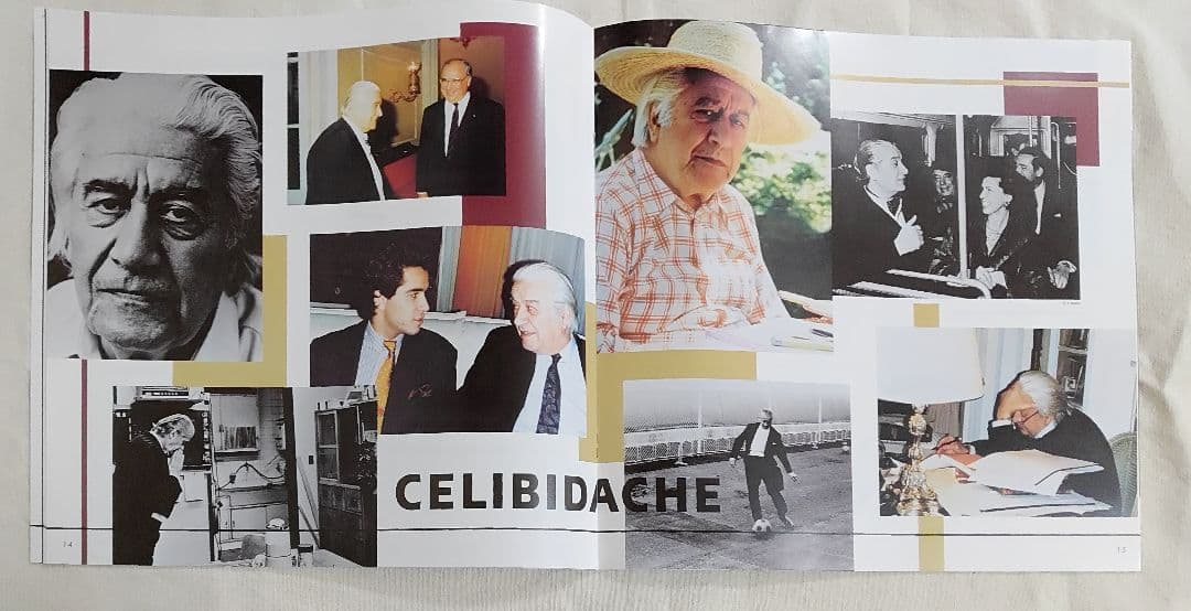 チェリビダッケ　エディション　VOL.2 ブルックナー・チクルス