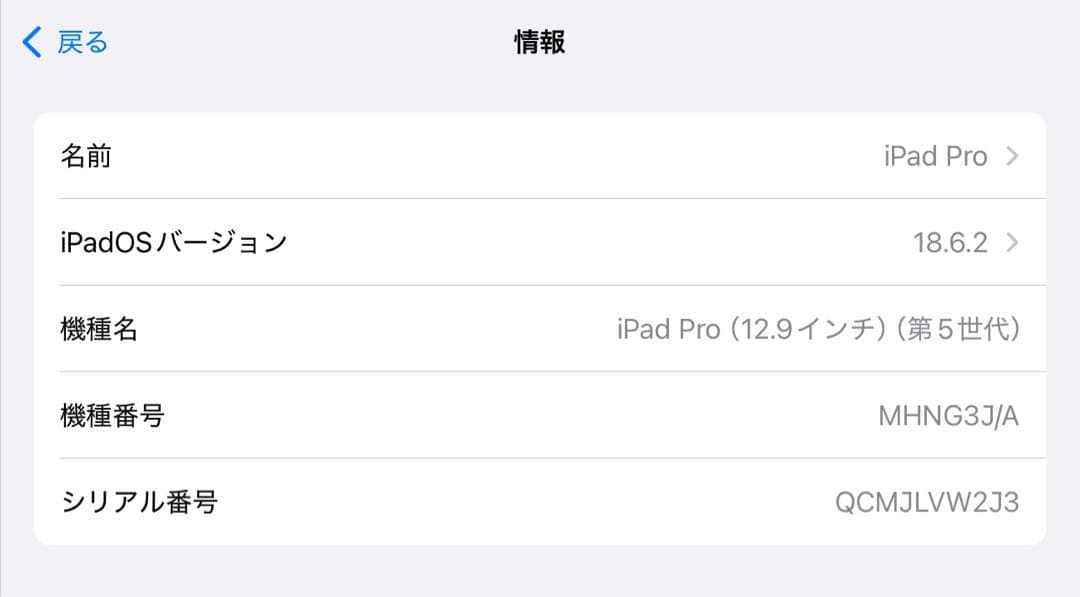 ☆極美 iPad Pro 12.9in Wi-Fi 完品 第5世代 128GB