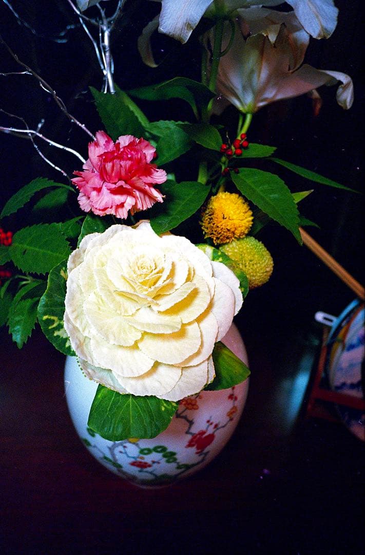 【試写済】FUJIFILM CARDIA mini TIARA