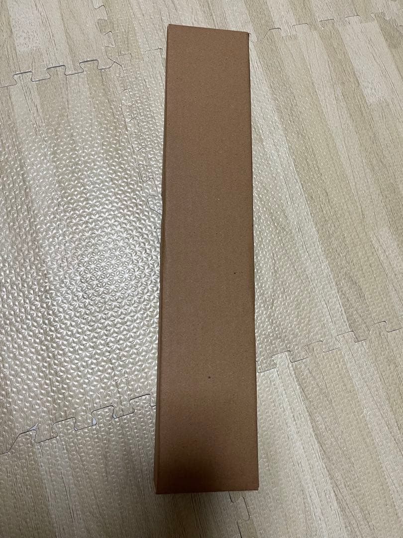  peak スノーピーク　エクステンション IGT CK-090