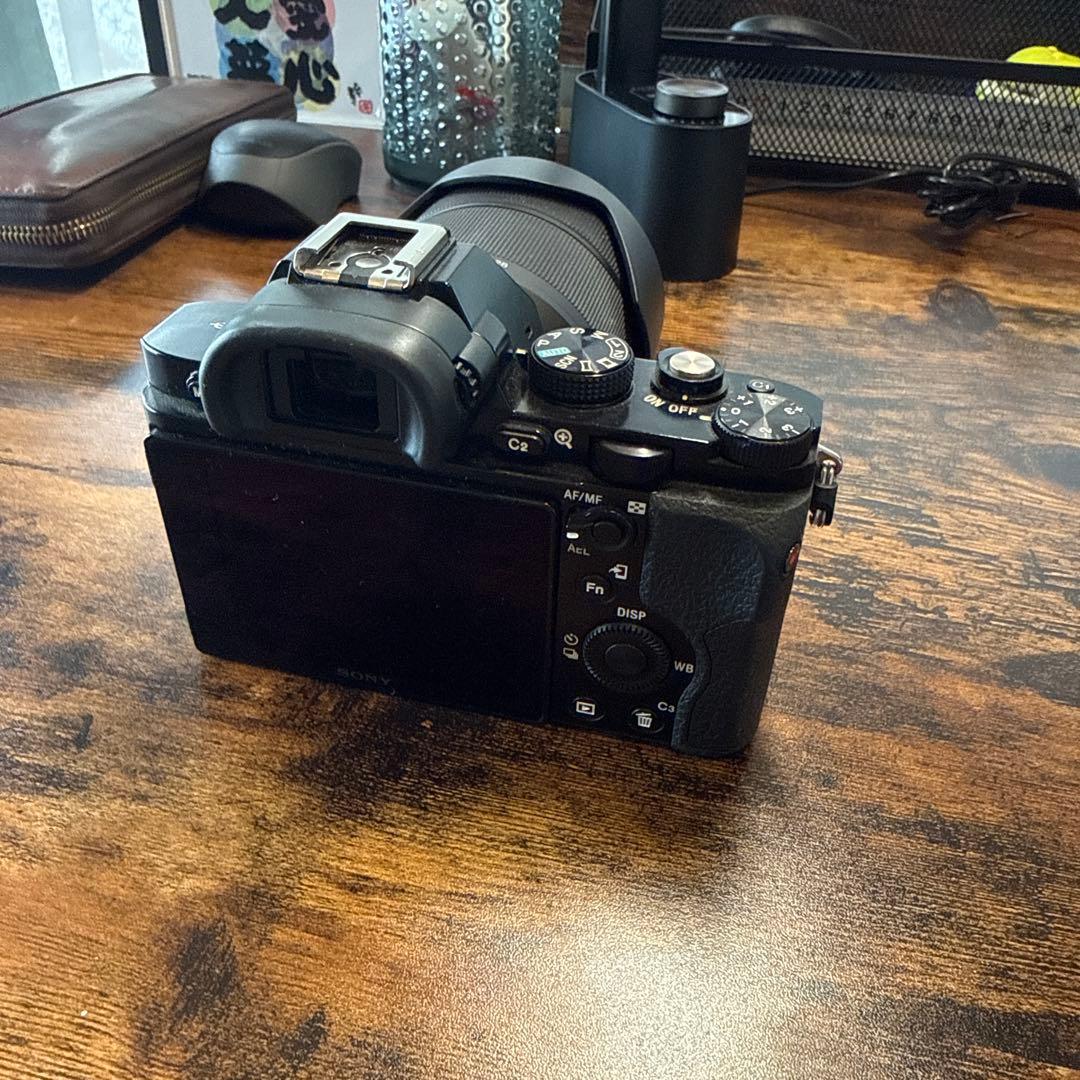 Sony αシリーズ ミラーレス一眼カメラ