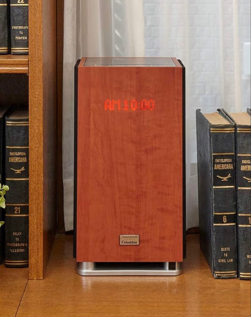 ANABASアナバスオーディオ NCA-100 ユーキャン限定モデル