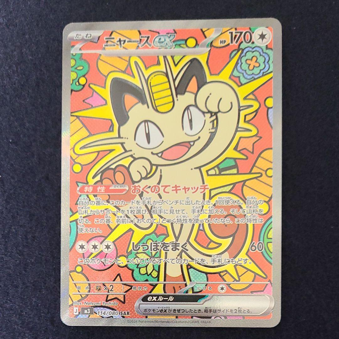 極美品　ニャース SAR