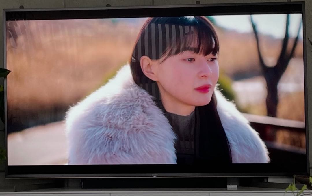 SONY BRAVIA 4K液晶 KJ-85X9500G