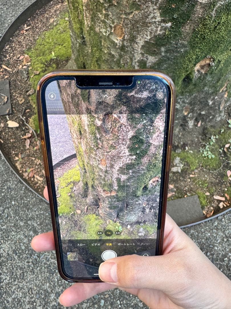 iPhone 12 Pro シルバー 本体　256G