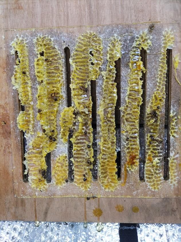 日本蜜蜂 重箱式巣箱4段 スライド底板 付巣門台座　スノコ付き