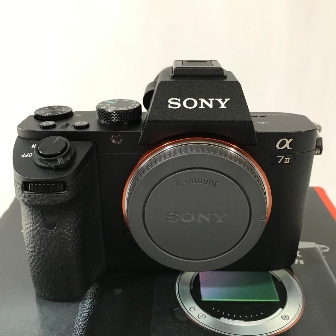 【撮影枚数2,763】SONY α7II ILCE-7M2