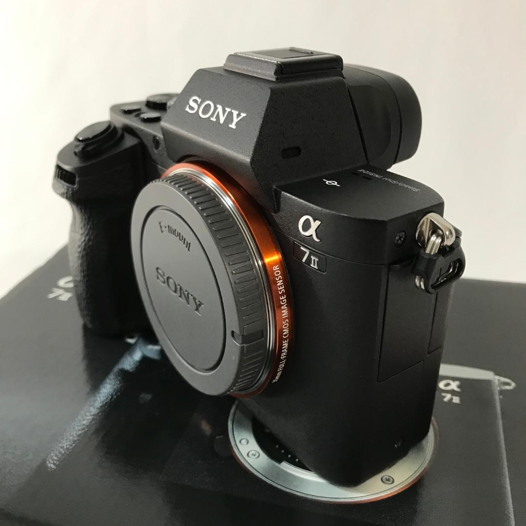 【撮影枚数2,763】SONY α7II ILCE-7M2