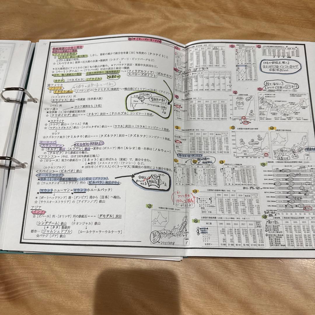 【岡田了一郎先生】駿台『地理　オリジナルプリント』 49枚　MSクラス