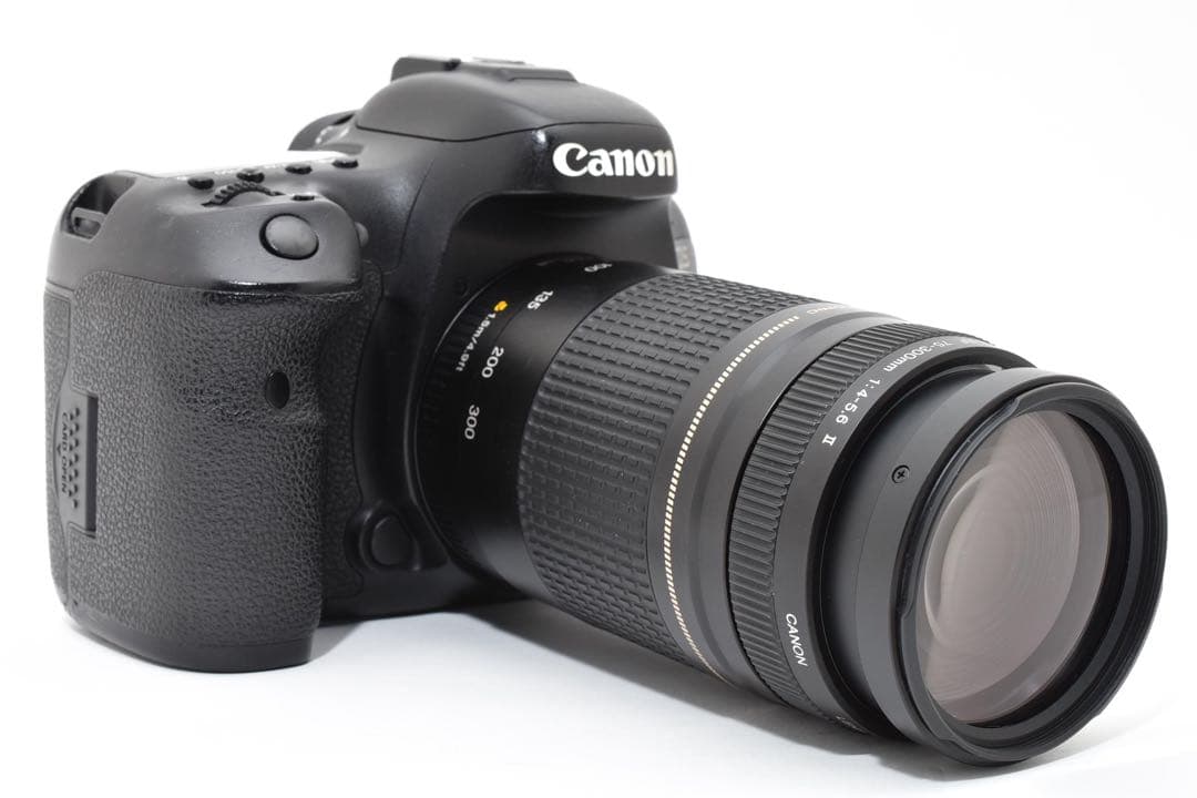 Canon EOS 7D MarkⅡ望遠レンズセットCanon EF75-300