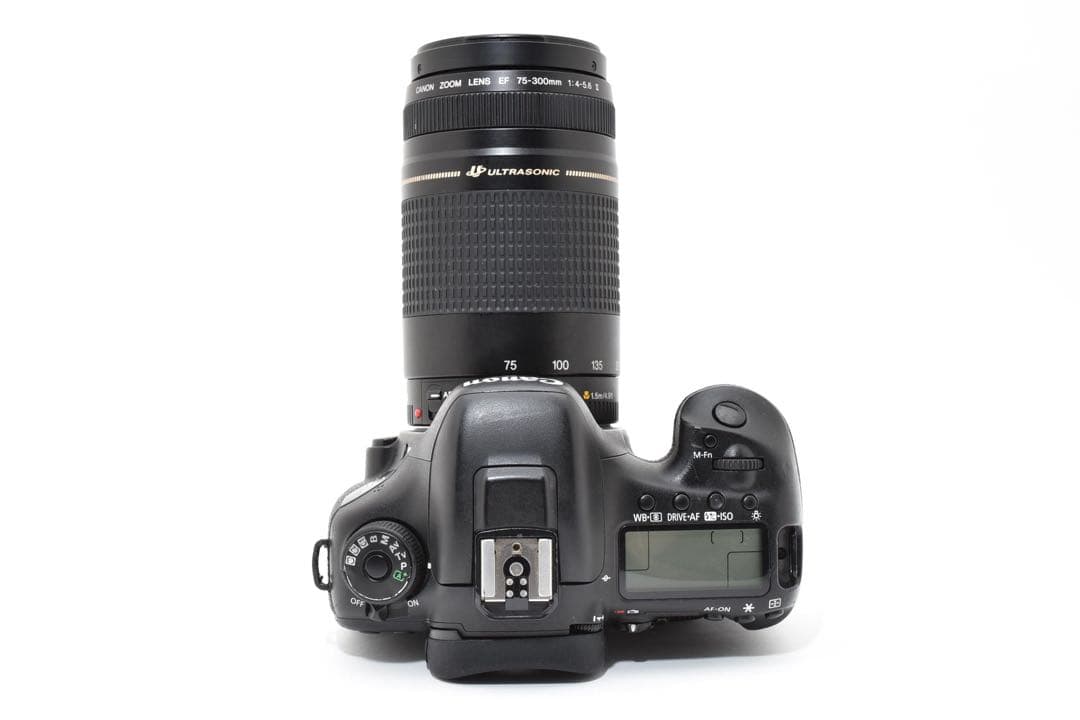 Canon EOS 7D MarkⅡ望遠レンズセットCanon EF75-300