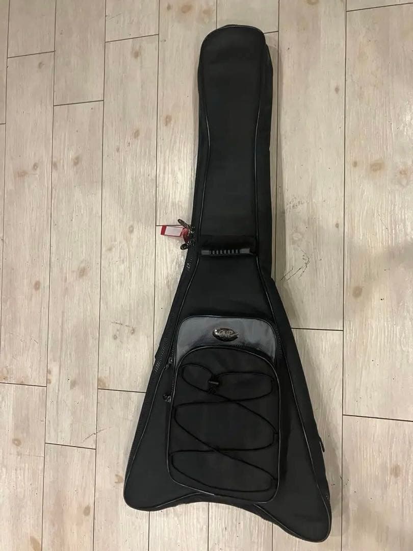 【ガイムさん専用】Epiphone 1958 Flying V Korina